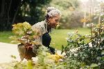 Click here for more information about 7. Family Education: Next Steps: Maintaining your Well-being as Care Partners/ Dec 9, 2025 / 2 - 3 pm / Virtual Via ZOOM